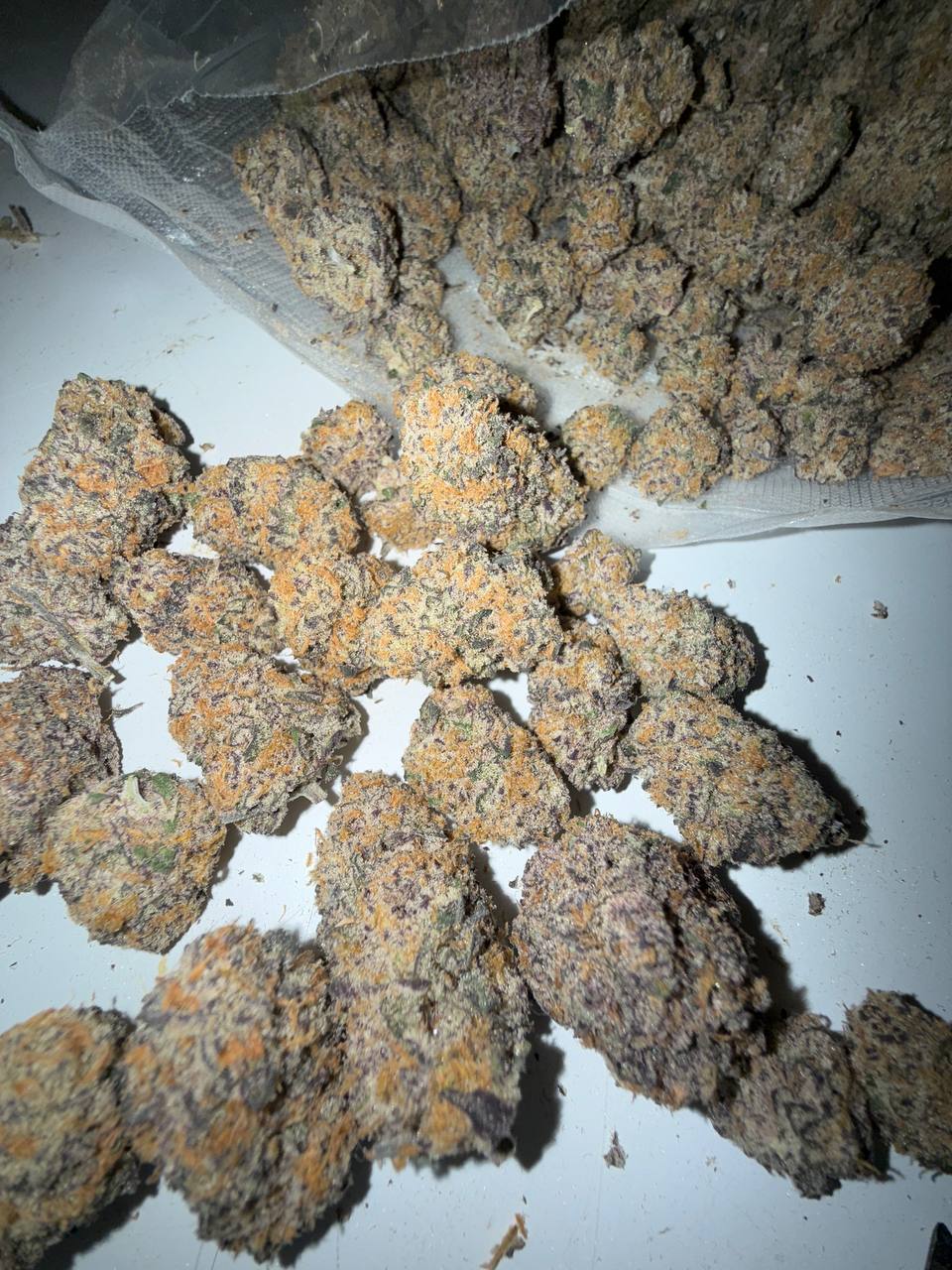 π»πΆπ· πͺπ¨π³π° π΄π°π΅π« π΄π¬π³π»π¬πΉ