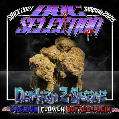 𝙋𝙧𝙚𝙢𝙞𝙪𝙢 𝙁𝙡𝙤𝙬𝙚𝙧 𝘽𝙪𝙛𝙖𝙡𝙤 𝙋𝙡𝙚𝙞𝙣 - 𝘿𝙐𝙍𝘽𝘼𝙉 𝙕 𝙎𝙋𝘼𝘾𝙀