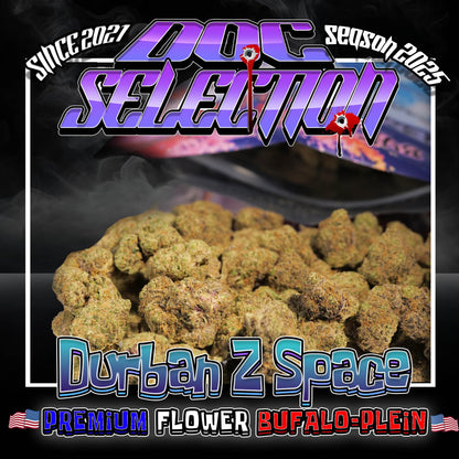 𝙋𝙧𝙚𝙢𝙞𝙪𝙢 𝙁𝙡𝙤𝙬𝙚𝙧 𝘽𝙪𝙛𝙖𝙡𝙤 𝙋𝙡𝙚𝙞𝙣 - 𝘿𝙐𝙍𝘽𝘼𝙉 𝙕 𝙎𝙋𝘼𝘾𝙀