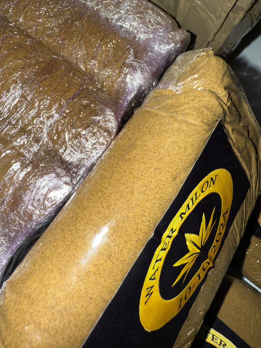 𝑻𝒐𝒑 𝒎𝒐𝒖𝒔𝒔𝒆 𝑷𝑹𝑬𝑴𝑰𝑼𝑴 𝑨+++