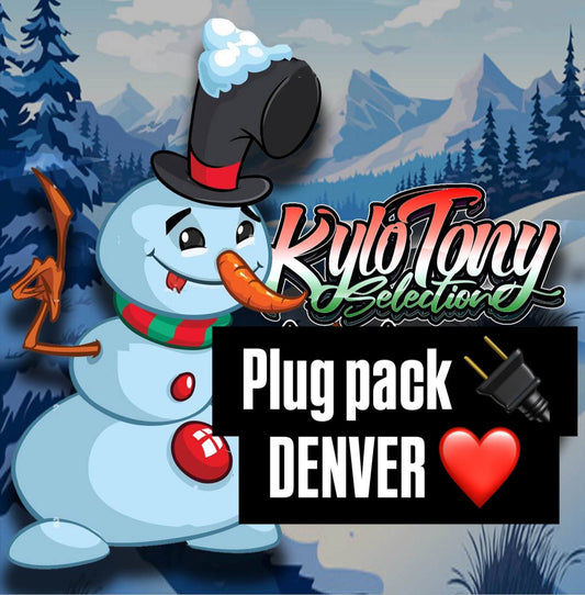 𝐏𝐥𝐮𝐠 𝐏𝐚𝐜𝐤 𝐃𝐞𝐧𝐯𝐞𝐫