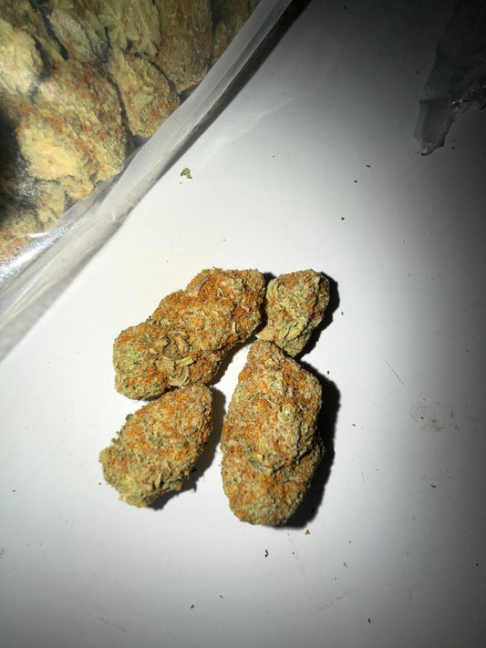 𝑻𝑶𝑷 𝑪𝑨𝑳𝑰 𝑺𝑼𝑵𝑫𝑨𝒀 𝑫𝑹𝑰𝑽𝑬𝑹