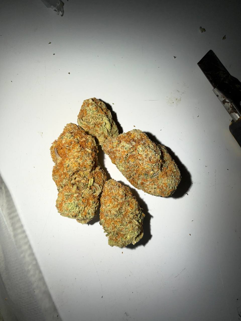 𝑻𝑶𝑷 𝑪𝑨𝑳𝑰 𝑺𝑼𝑵𝑫𝑨𝒀 𝑫𝑹𝑰𝑽𝑬𝑹