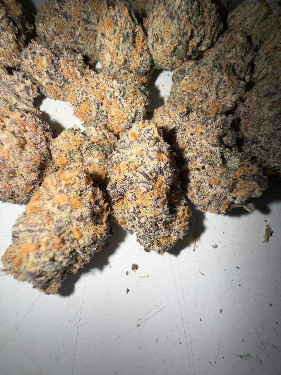 𝑻𝑶𝑷 𝑪𝑨𝑳𝑰 𝑴𝑰𝑵𝑫 𝑴𝑬𝑳𝑻𝑬𝑹