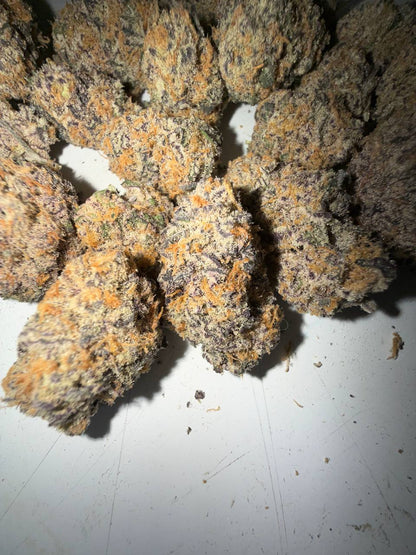 𝑻𝑶𝑷 𝑪𝑨𝑳𝑰 𝑴𝑰𝑵𝑫 𝑴𝑬𝑳𝑻𝑬𝑹