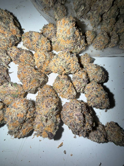 𝑻𝑶𝑷 𝑪𝑨𝑳𝑰 𝑴𝑰𝑵𝑫 𝑴𝑬𝑳𝑻𝑬𝑹