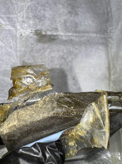 𝘽𝙪𝙗𝙗𝙡𝙚 𝙝𝙖𝙨𝙝 𝙐𝙎𝘼 𝘽𝙪𝙛𝙖𝙡𝙤 𝙋𝙡𝙚𝙞𝙣 - 𝙋𝙐𝙍𝙋𝙇𝙀 𝘾𝙍𝙀𝘼𝙈