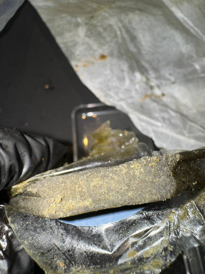 𝘽𝙪𝙗𝙗𝙡𝙚 𝙝𝙖𝙨𝙝 𝙐𝙎𝘼 𝘽𝙪𝙛𝙖𝙡𝙤 𝙋𝙡𝙚𝙞𝙣 - 𝙋𝙐𝙍𝙋𝙇𝙀 𝘾𝙍𝙀𝘼𝙈