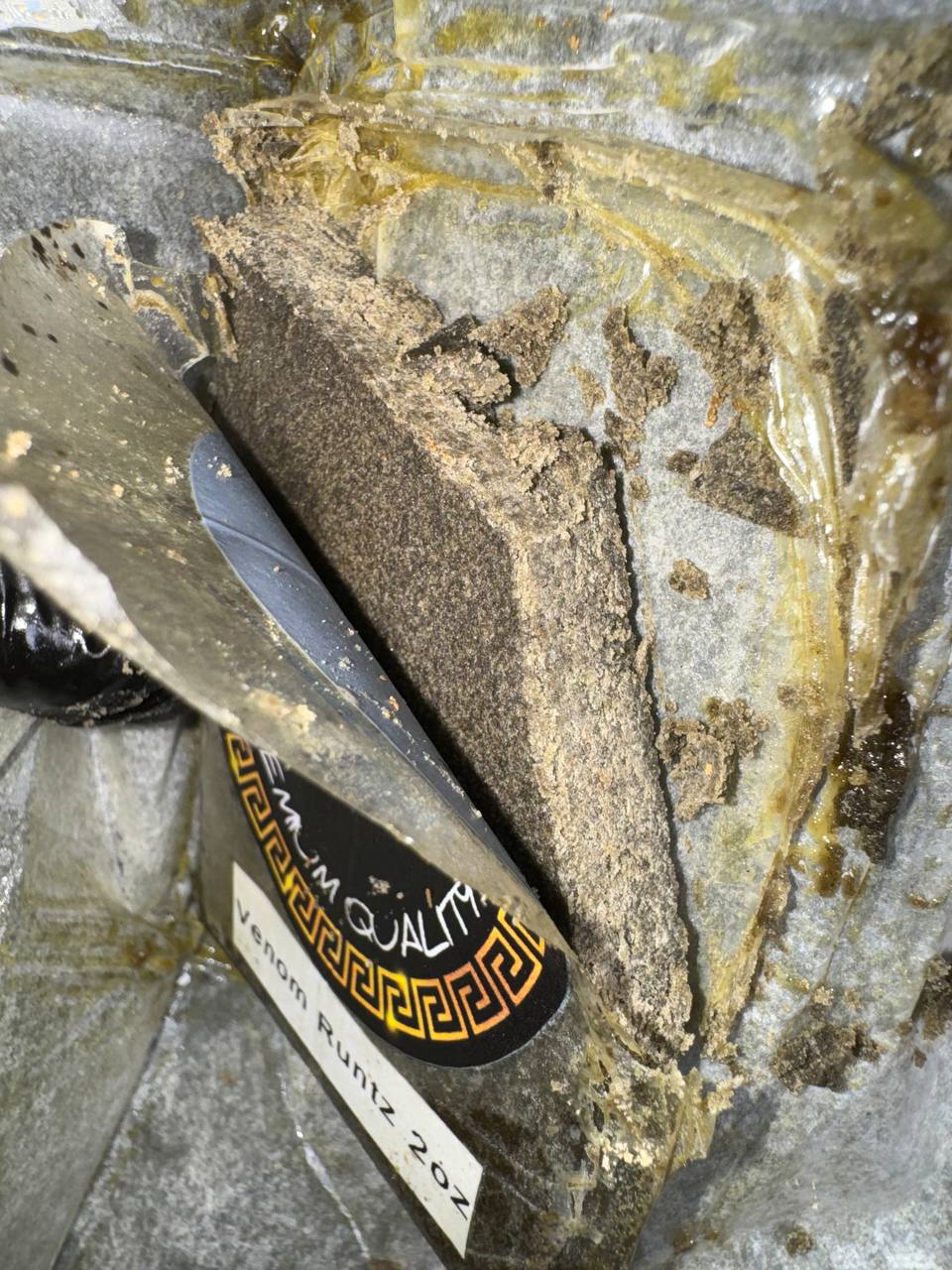 𝘽𝙪𝙗𝙗𝙡𝙚 𝙃𝙖𝙨𝙝 𝙐𝙎𝘼 𝘽𝙪𝙛𝙖𝙡𝙤 𝙋𝙡𝙚𝙞𝙣 - 𝙑𝙀𝙉𝙊𝙈 𝙍𝙐𝙉𝙏𝙕