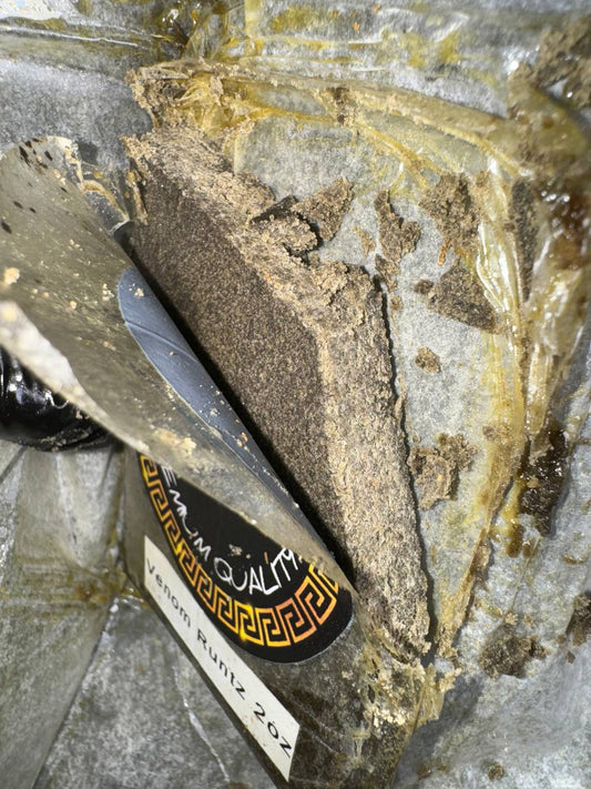 𝘽𝙪𝙗𝙗𝙡𝙚 𝙃𝙖𝙨𝙝 𝙐𝙎𝘼 𝘽𝙪𝙛𝙖𝙡𝙤 𝙋𝙡𝙚𝙞𝙣 - 𝙑𝙀𝙉𝙊𝙈 𝙍𝙐𝙉𝙏𝙕