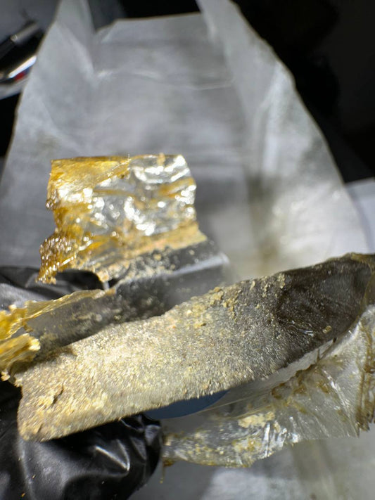 𝘽𝙪𝙗𝙗𝙡𝙚 𝙃𝙖𝙨𝙝 𝙐𝙎𝘼 𝘽𝙪𝙛𝙖𝙡𝙤 𝙋𝙡𝙚𝙞𝙣 - 𝙏𝙍𝙊𝙋𝙄𝘾𝘼𝙉𝘼 𝙊𝙂