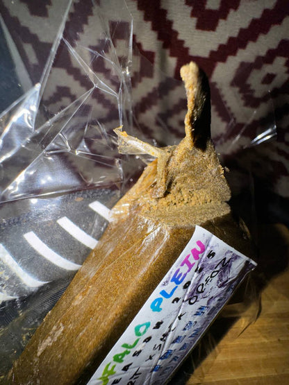 𝑭𝑹𝑬𝑺𝑯 𝑭𝑹𝑶𝒁𝑬𝑵 2025 𝑩𝑼𝑭𝑨𝑳𝑶 𝑷𝑳𝑬𝑰𝑵 - 𝑨𝑷𝑷𝑳𝑬 𝑭𝑹𝑰𝑻𝑻𝑬𝑹 𝑿 𝑺𝑯𝑬𝑹𝑩𝑬𝑹𝑻 𝑶𝑹𝑬𝑶𝒁