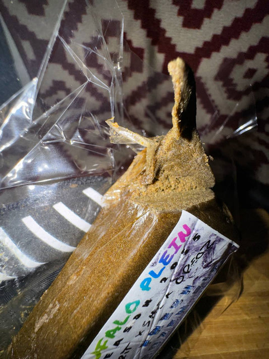 𝑭𝑹𝑬𝑺𝑯 𝑭𝑹𝑶𝒁𝑬𝑵 2025 𝑩𝑼𝑭𝑨𝑳𝑶 𝑷𝑳𝑬𝑰𝑵 - 𝑨𝑷𝑷𝑳𝑬 𝑭𝑹𝑰𝑻𝑻𝑬𝑹 𝑿 𝑺𝑯𝑬𝑹𝑩𝑬𝑹𝑻 𝑶𝑹𝑬𝑶𝒁