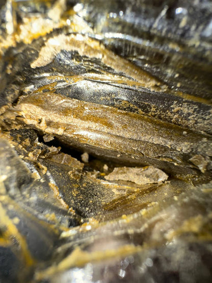 𝑩𝑼𝑩𝑩𝑳𝑬 𝑯𝑨𝑺𝑯 𝑼𝑺𝑨 𝑩𝑼𝑭𝑨𝑳𝑶 𝑷𝑳𝑬𝑰𝑵 - 𝑾𝑬𝑫𝑫𝑰𝑵𝑮 𝑪𝑨𝑲𝑬