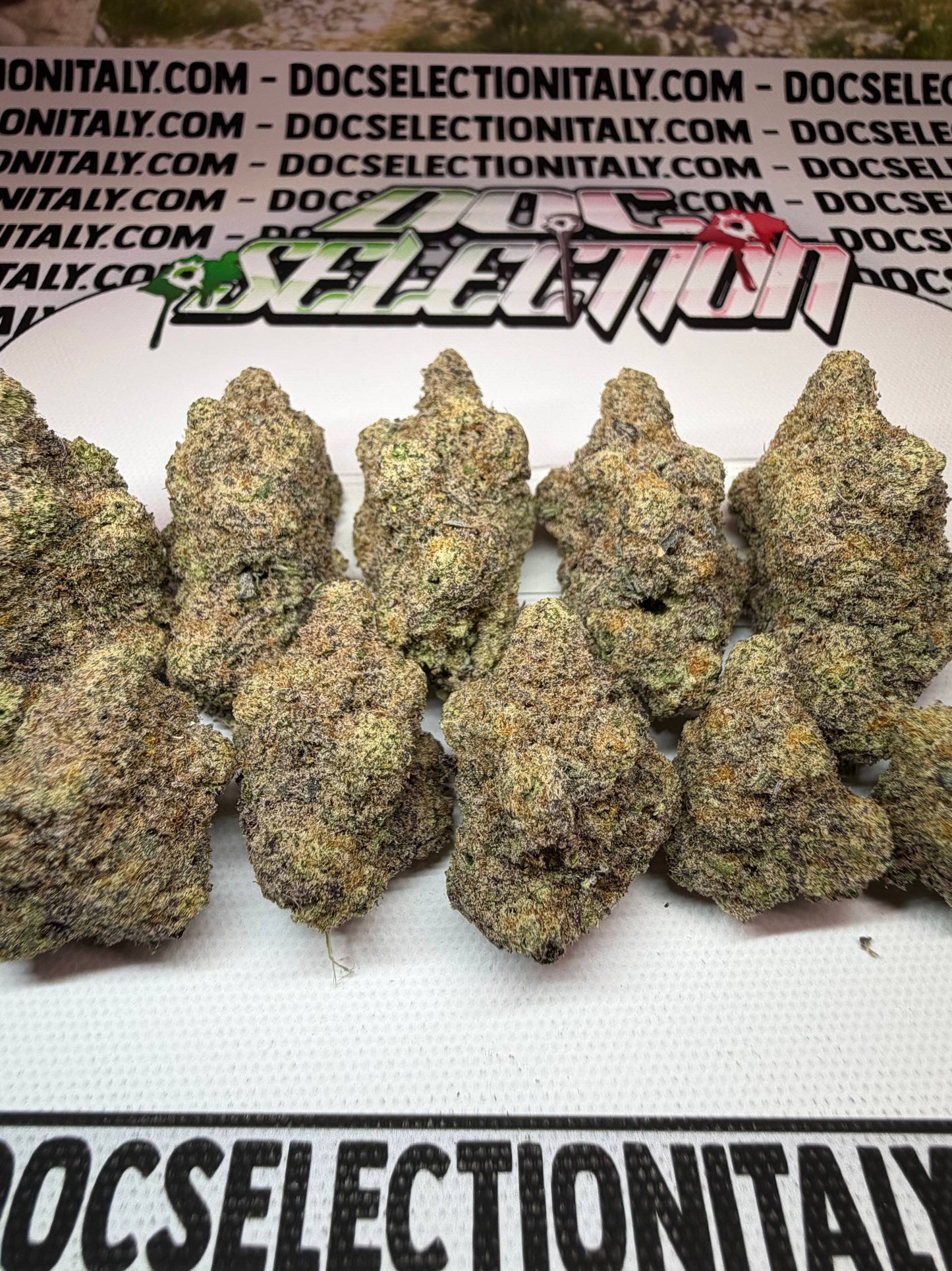 TOP Californiana Farmaceutica - SPACE MAC-1